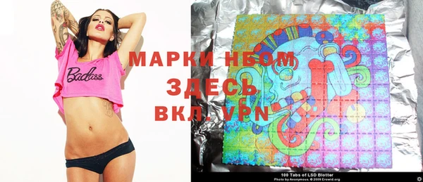 винт Алзамай