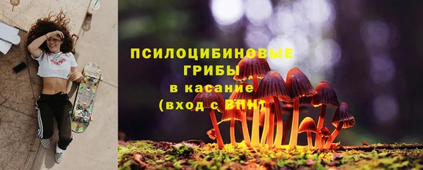 гашик Пересвет